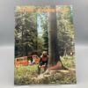 STIHL Katalog Programm-Katalog 84/85