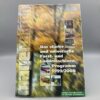 MAYER WAREN Prospekt Forst- und Landmaschinen-Programm 1999/2000